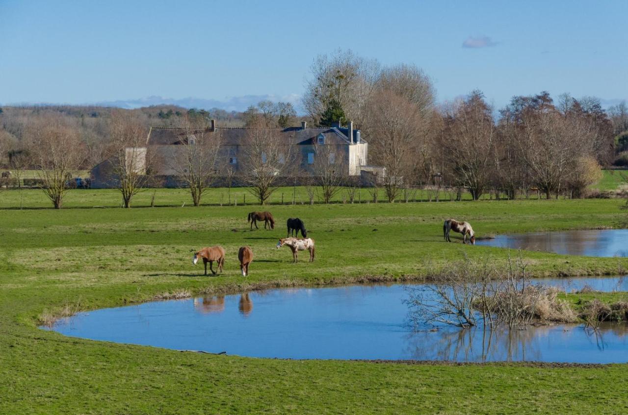 Cottage D'Exception - Coeur De Normandie Vienne-en-Bessin エクステリア 写真